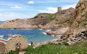 Joli Appartement En Corse Avec Piscine